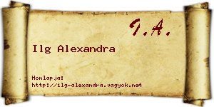 Ilg Alexandra névjegykártya